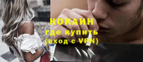 метадон Алексин