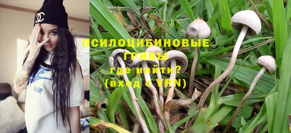 прущие крисы Алзамай
