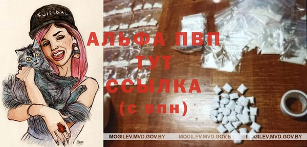 прущие крисы Алзамай