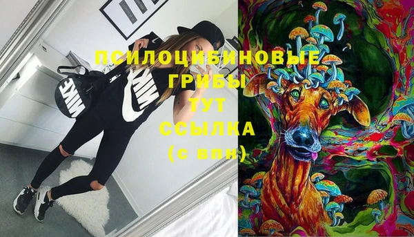 прущие крисы Алзамай